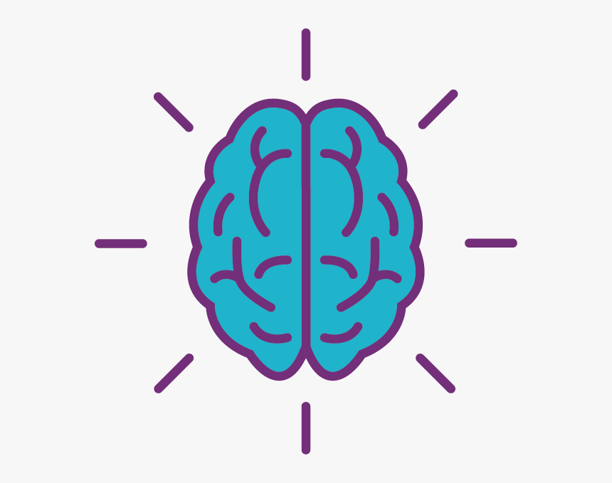 အပြာရောင်နှင့် ခရမ်းရောင်ဖြင့် ကွပ်ထားသော ဦးနှောက်၏ထိပ်ပိုင်းပုံ